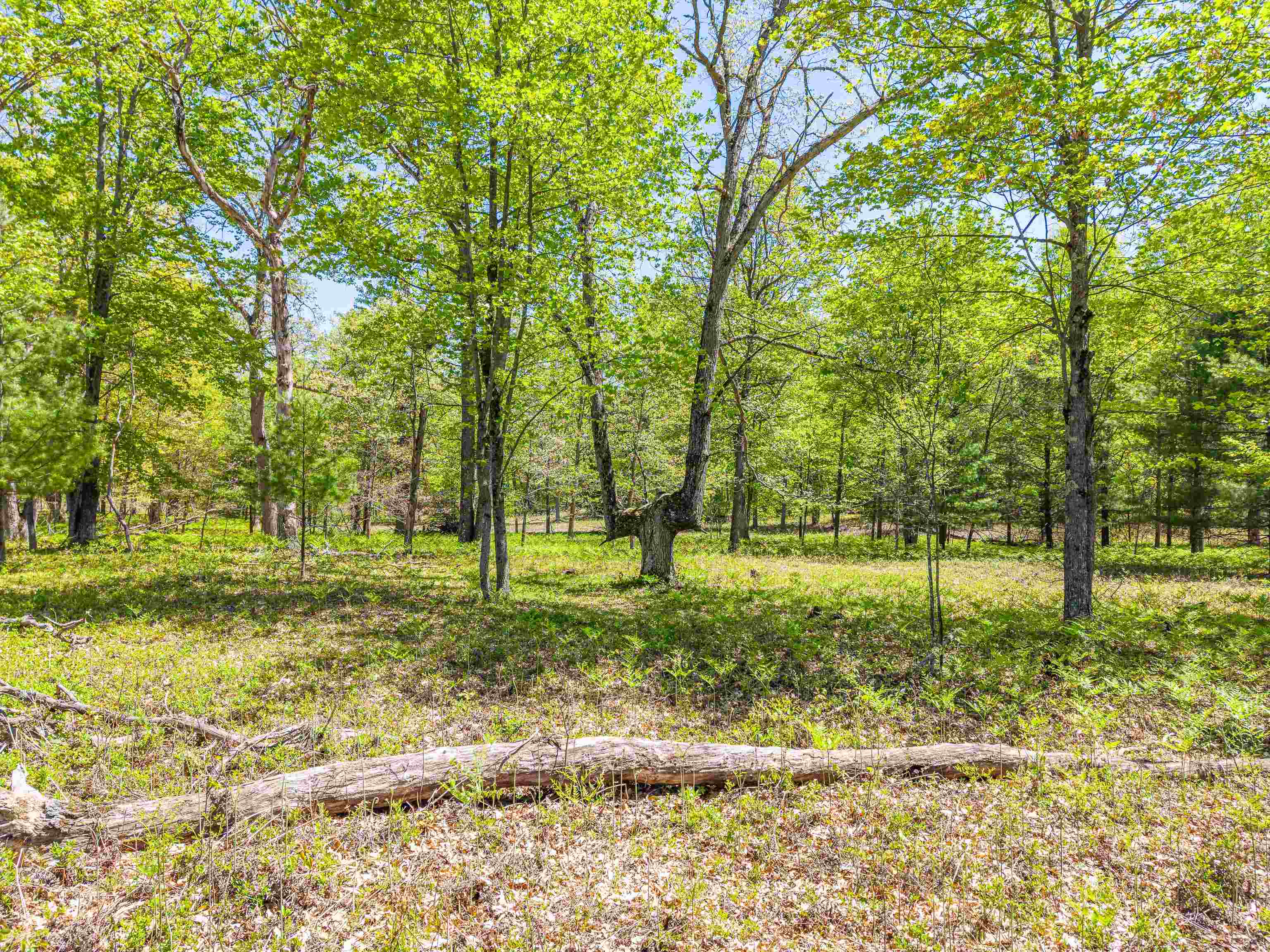 240 Hilts Road Gladwin, MI 48624 - Photo 71 of 97