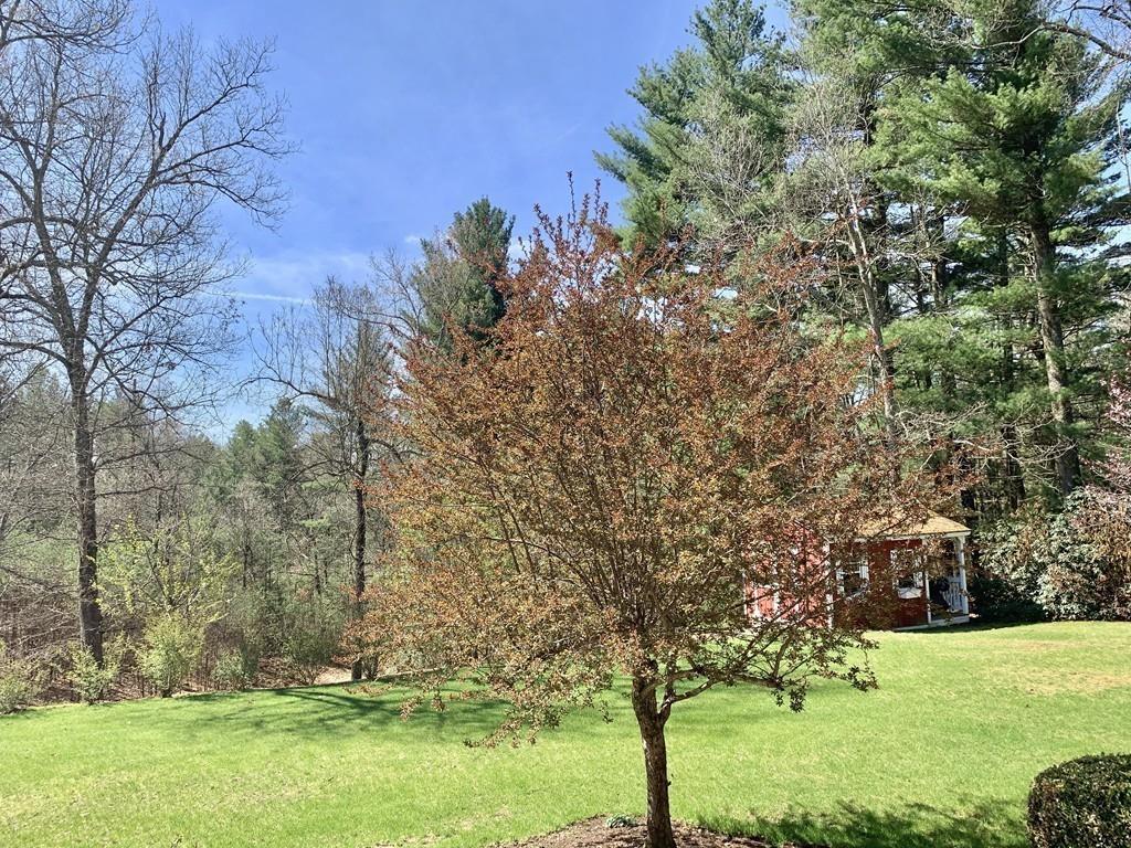 15 Fenton Road Monson, MA 01057 - Photo 19 of 41 a view of backyard with tree