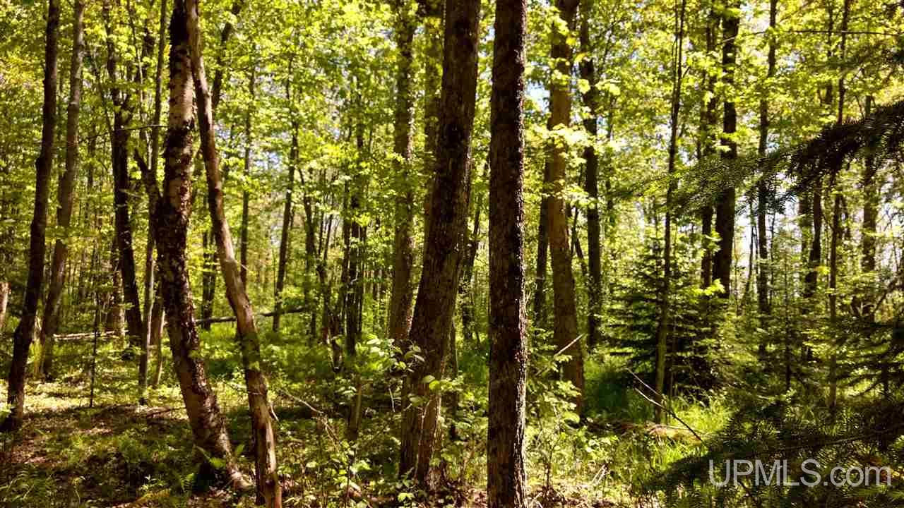 Tbd Tower Road Baraga, MI 49908 - Photo 7 of 12 Gallery Image 7
