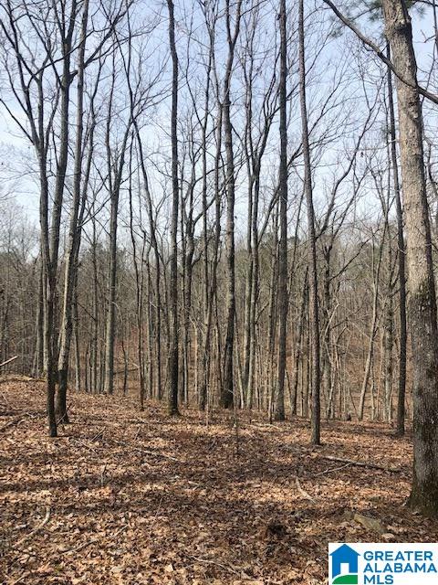 59 County Road, Unit 55 Roanoke, AL 36274 - Photo 2 of 7
