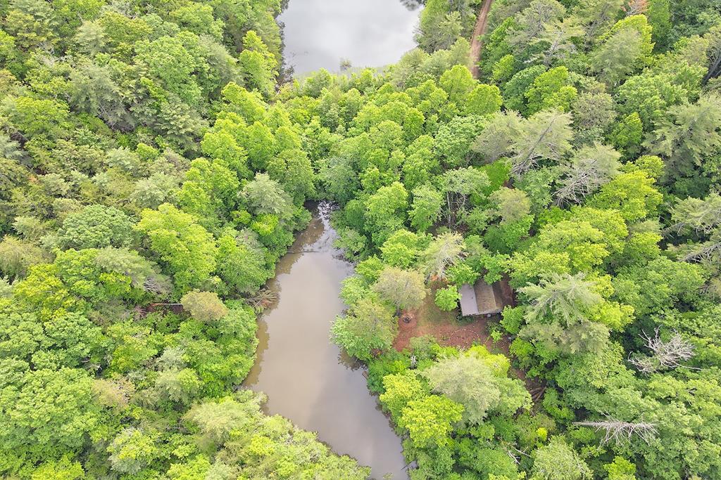 1092 Hunter Ridge Trail Clayton, GA 30525 - Photo 2 of 52