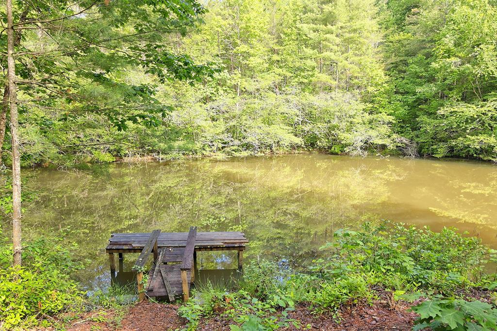 1092 Hunter Ridge Trail Clayton, GA 30525 - Photo 44 of 52