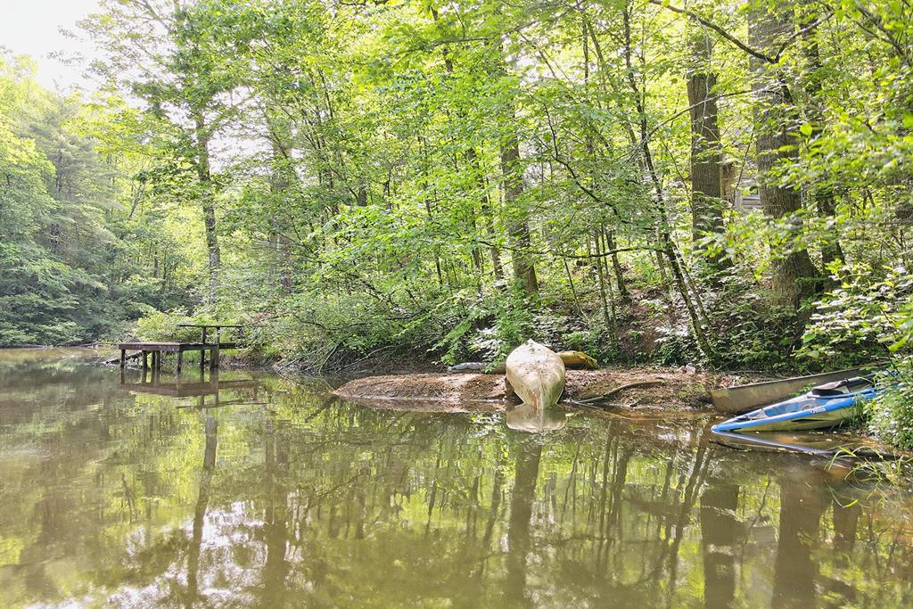 1092 Hunter Ridge Trail Clayton, GA 30525 - Photo 45 of 52