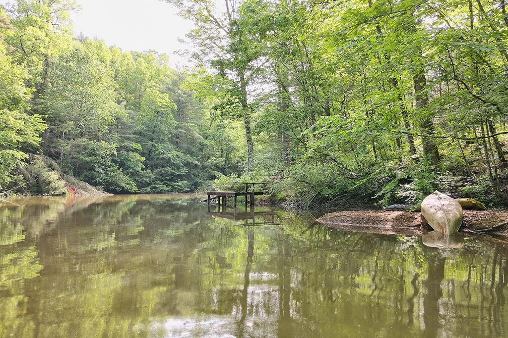 1092 Hunter Ridge Trail Clayton, GA 30525 - Photo 46 of 52