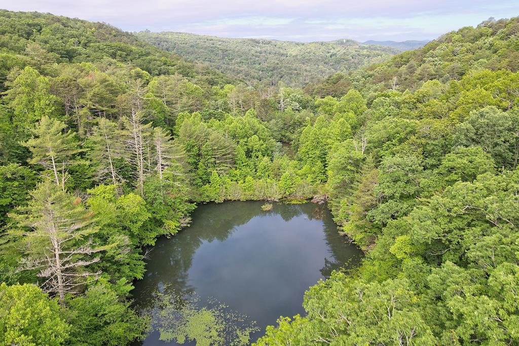 1092 Hunter Ridge Trail Clayton, GA 30525 - Photo 48 of 52