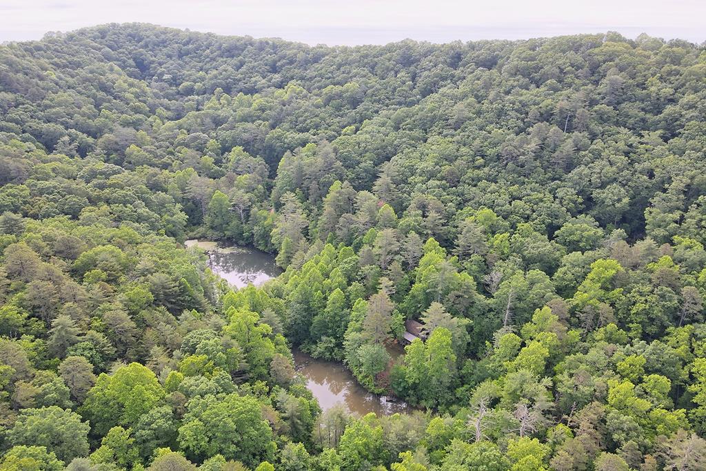 1092 Hunter Ridge Trail Clayton, GA 30525 - Photo 49 of 52