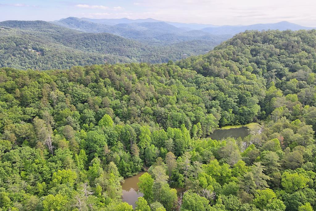 1092 Hunter Ridge Trail Clayton, GA 30525 - Photo 50 of 52