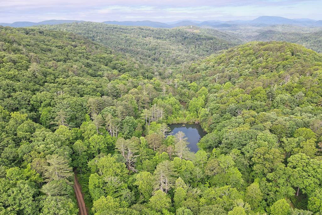 1092 Hunter Ridge Trail Clayton, GA 30525 - Photo 51 of 52