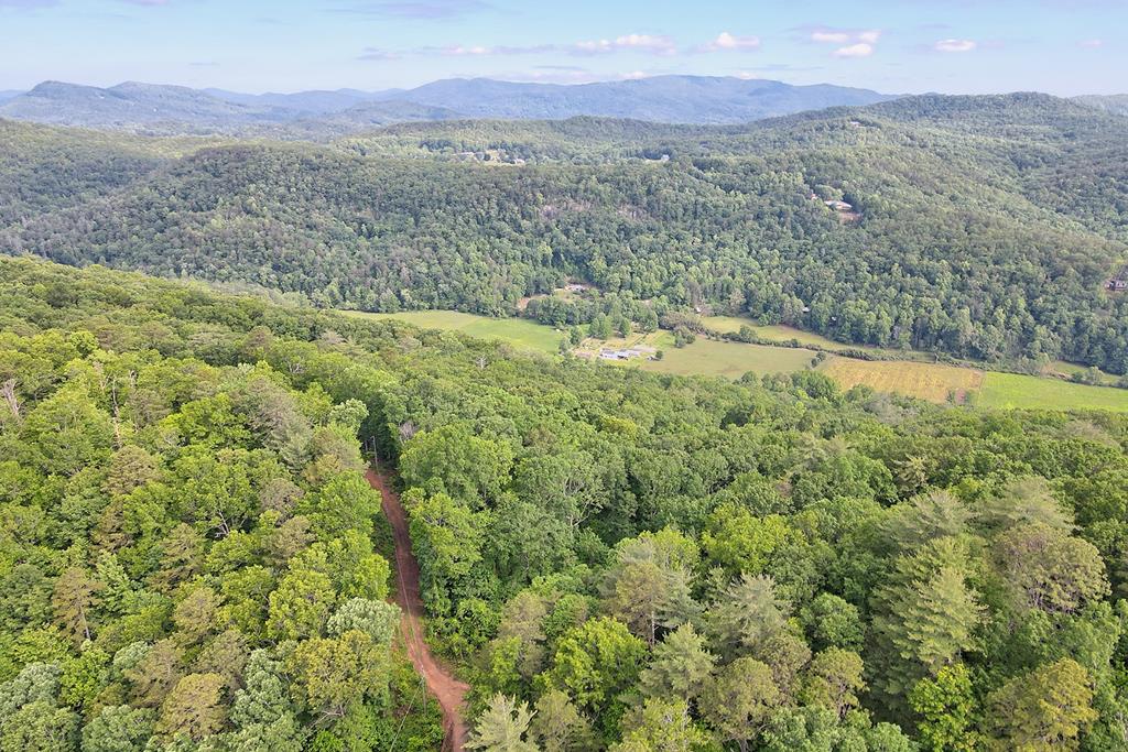 1092 Hunter Ridge Trail Clayton, GA 30525 - Photo 52 of 52