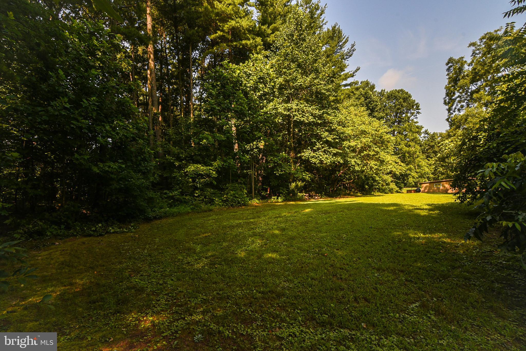 8420 Willow Hill Road King George, VA 22485 - Photo 13 of 46