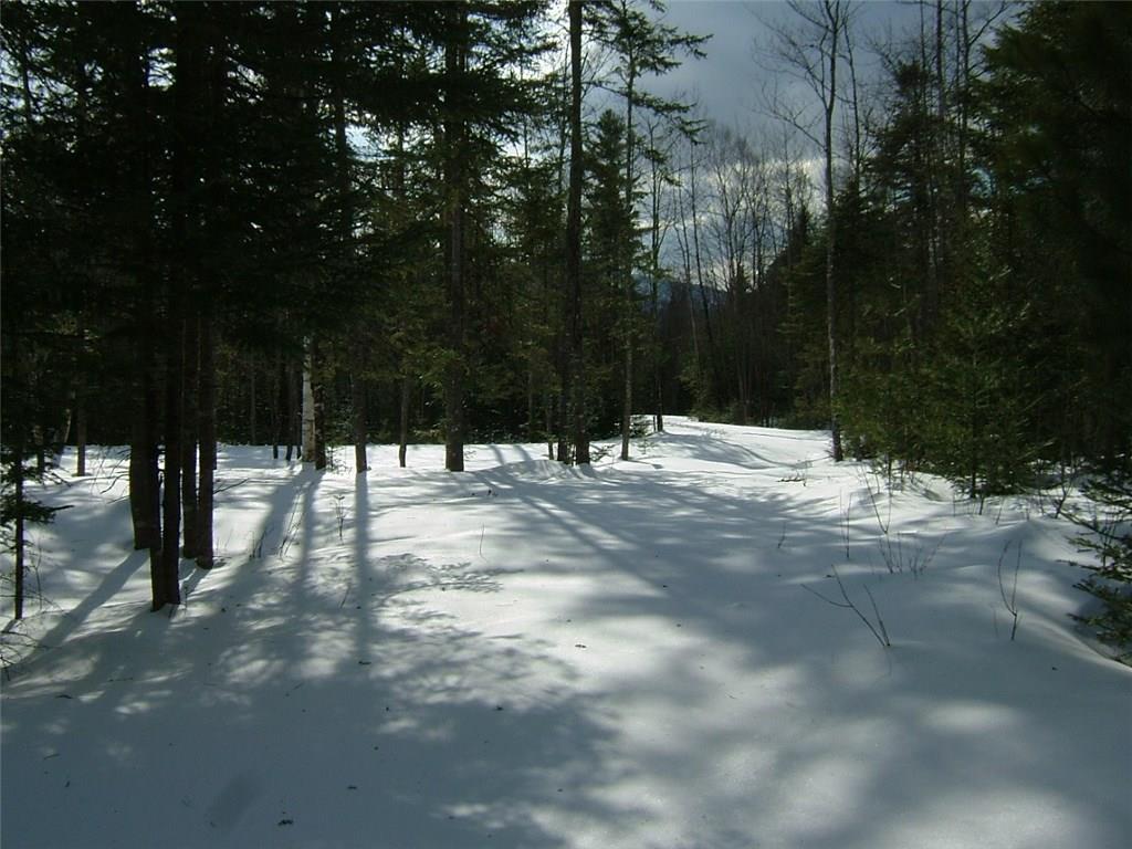 0 Farmers Hill Road Andover, ME 04216 - Photo 4 of 13 Photo