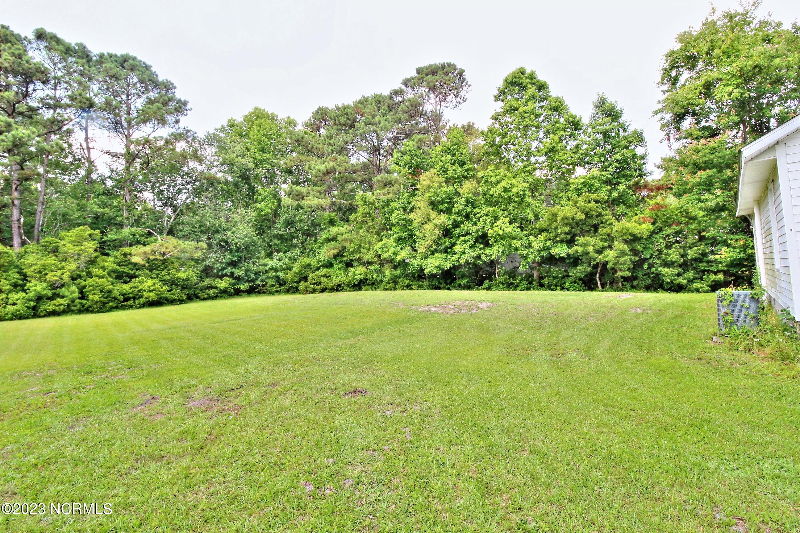 4368 Pigott Road Southwest Shallotte, NC 28470 - Photo 5 of 13 Backyard