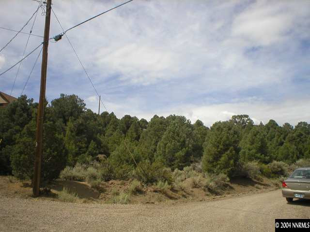 2311-2301 Grizzley Road Reno, NV 89521 - Photo 1 of 4 a view of a yard