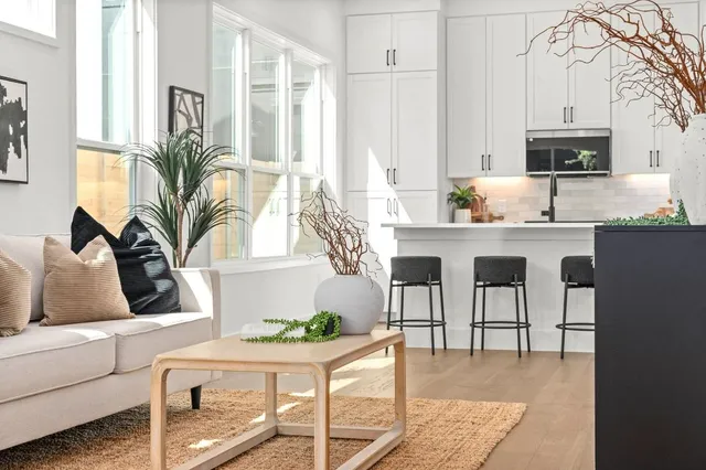 a living room with furniture and a potted plant