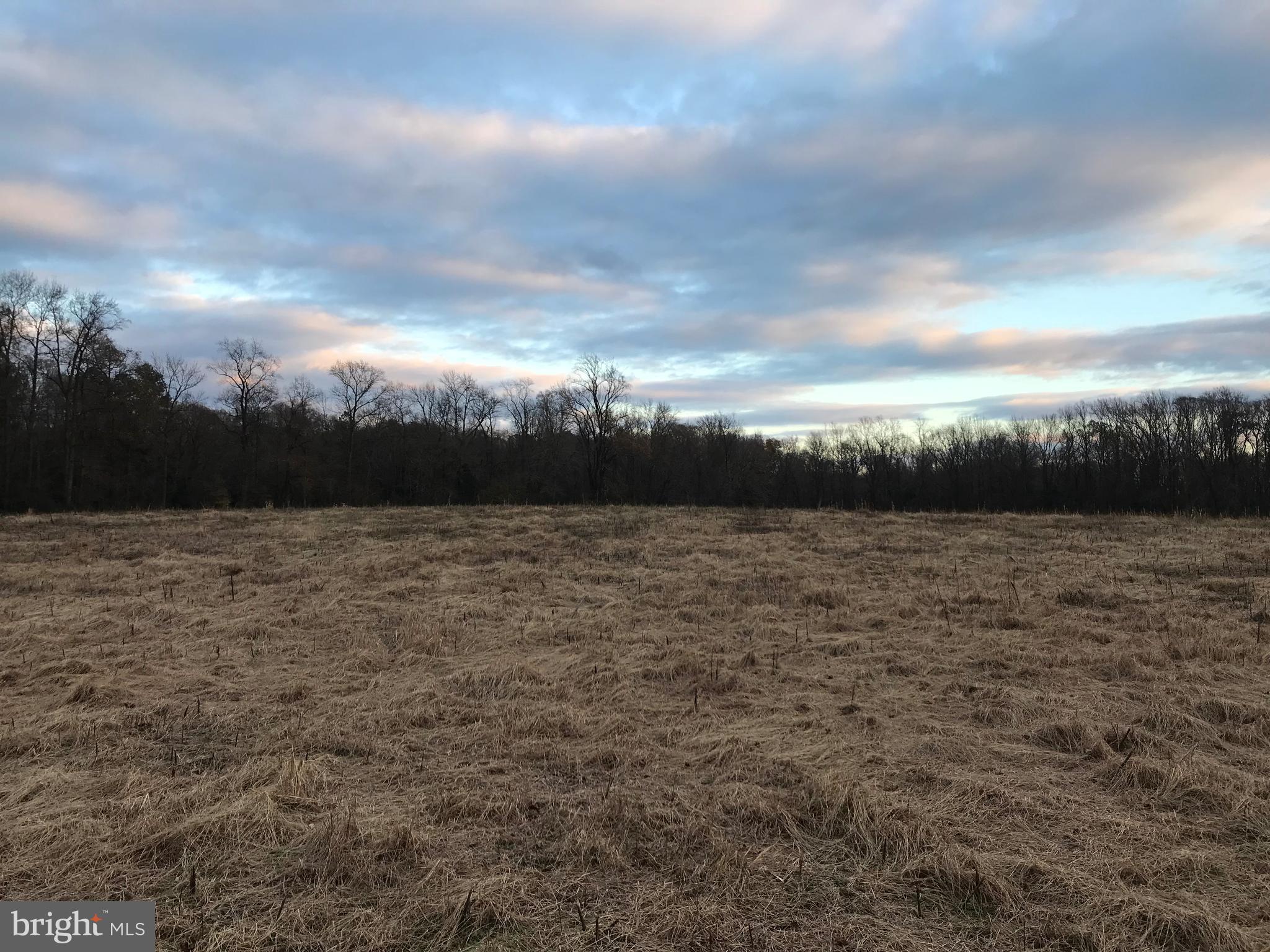 View of the Property from Marvel Roda