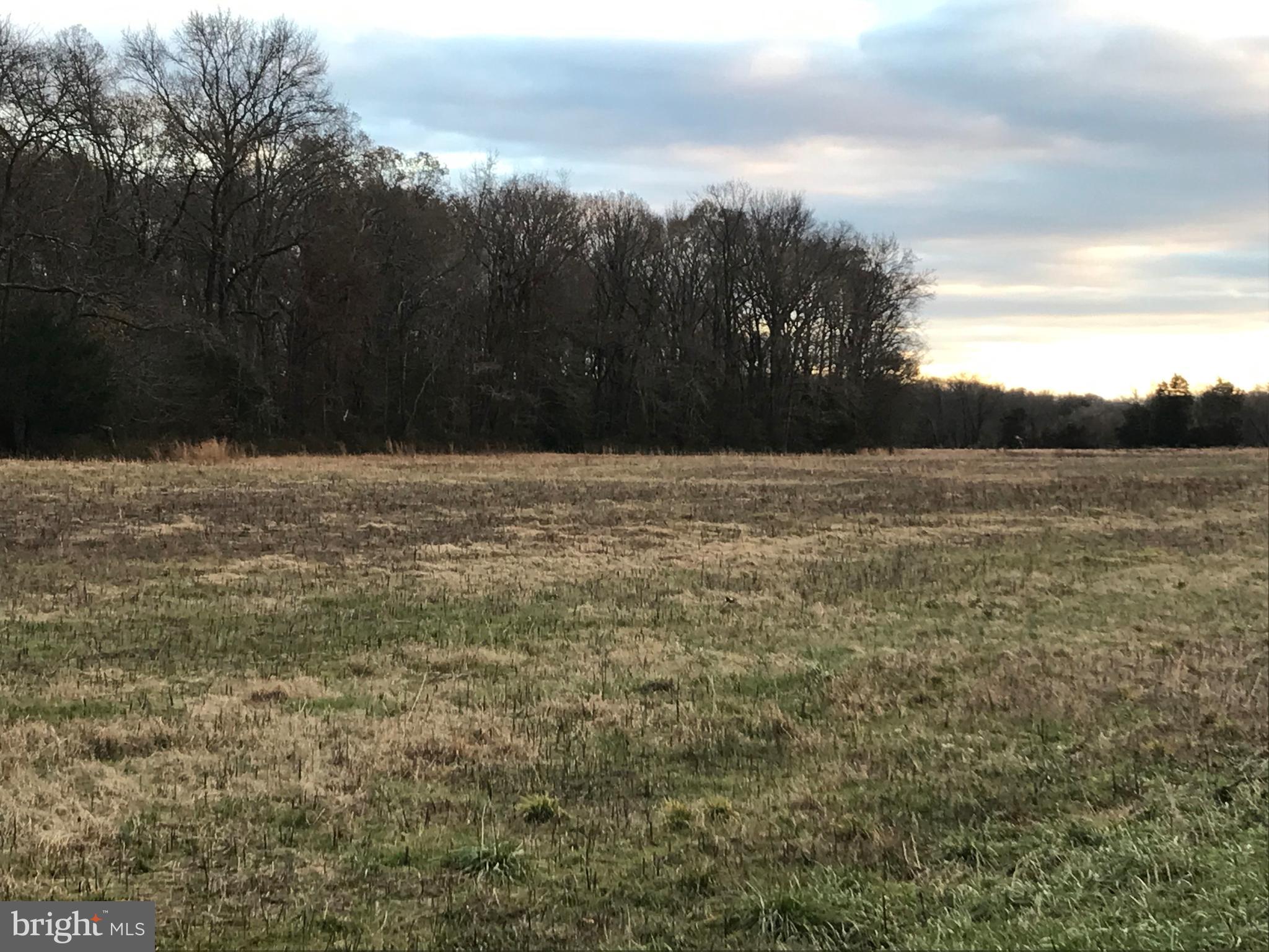 Property View Woodline