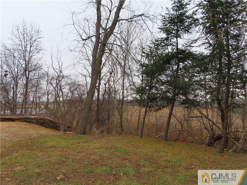 499 Harding Road Old Bridge, NJ 08879 - Photo 18 of 18 a view of backyard with large trees