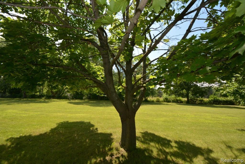 2722 Frankson Avenue Rochester, MI 48307 - Photo 21 of 22 DSC_6310.jpg