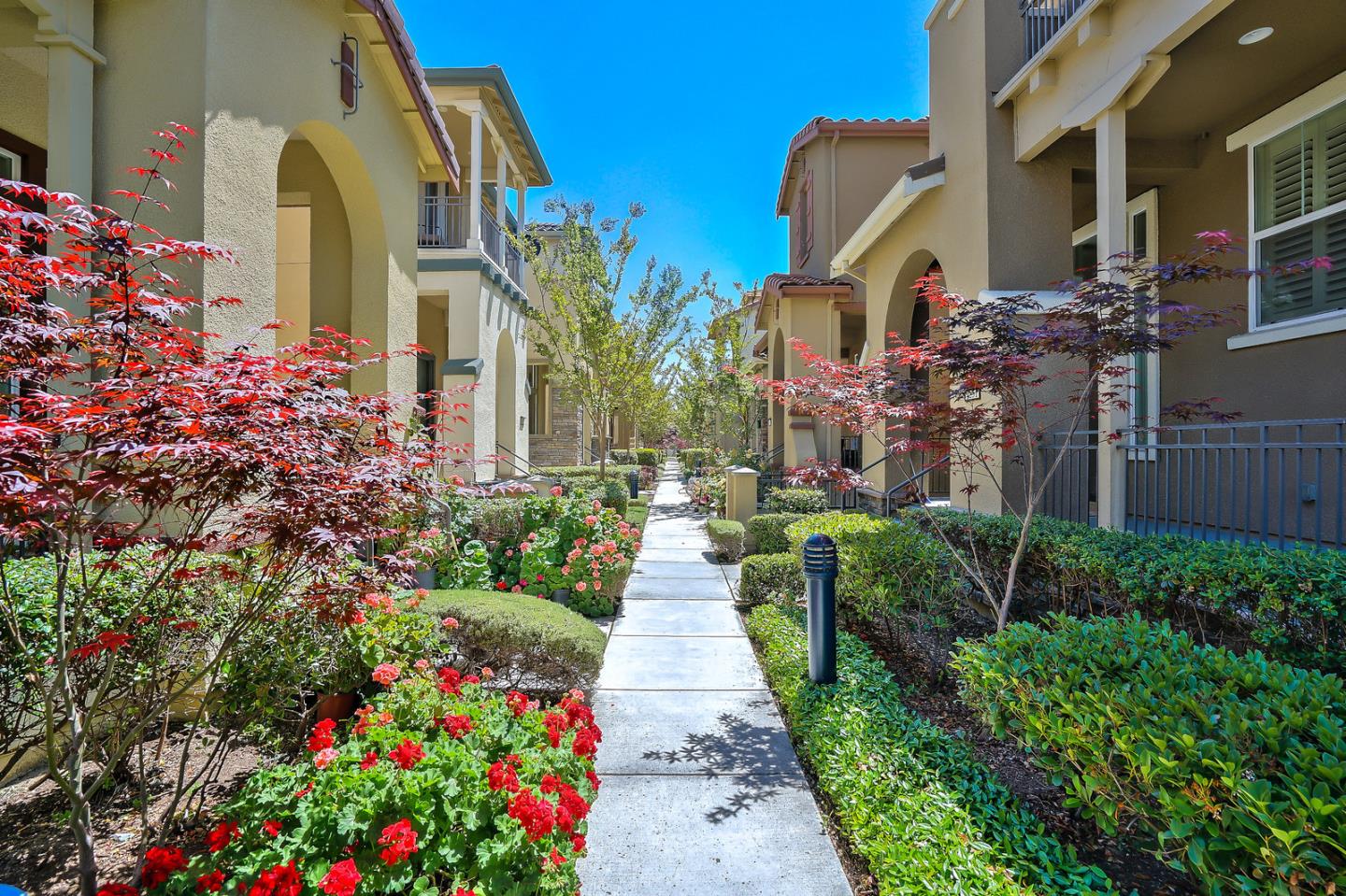a view of a pathway both side of the house