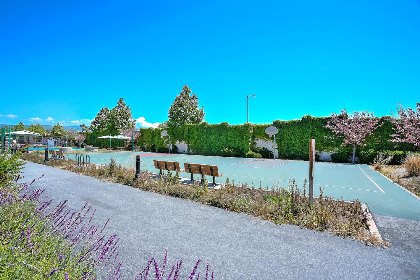 1088 Vida Larga Loop Milpitas, CA 95035 - Photo 27 of 29 a view of a house with a yard