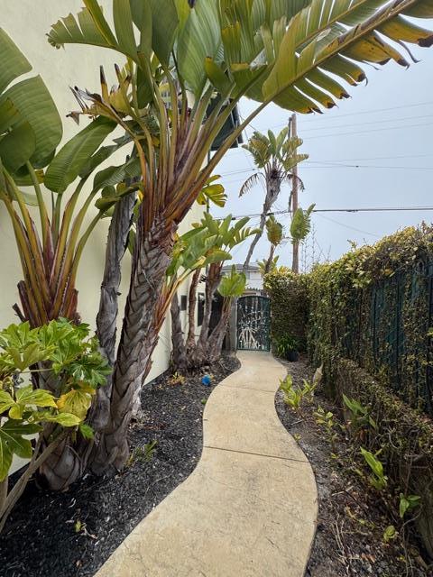 131 30th Avenue Santa Cruz, CA 95062 - Photo 14 of 29 a view of yard