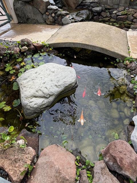 131 30th Avenue Santa Cruz, CA 95062 - Photo 25 of 29 a view of a backyard of a house