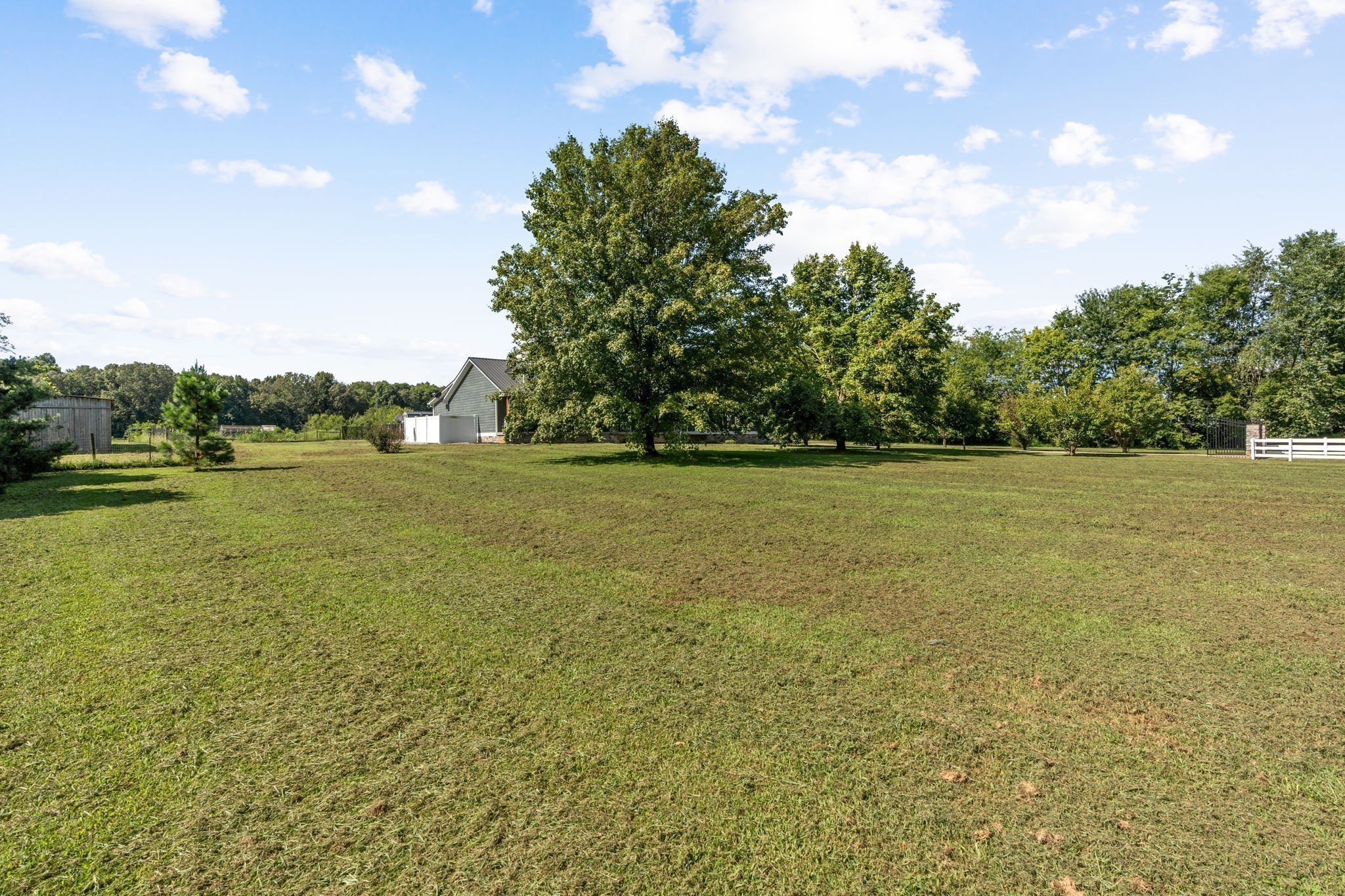 6931 Cowan Road Springfield, TN 37172 - Photo 12 of 68 a view of a green field and trees