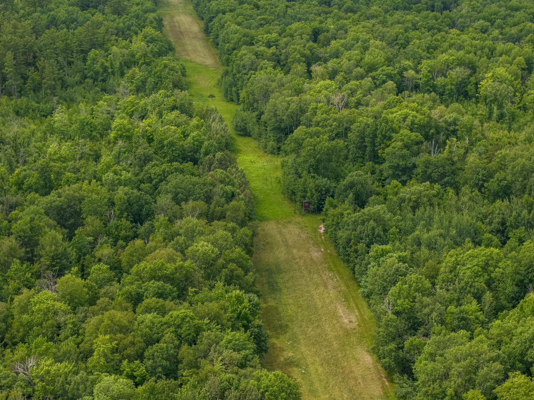 80-acres Pike Bay Loop Road Northwest Cass Lake, MN 56633 - Photo 11 of 27