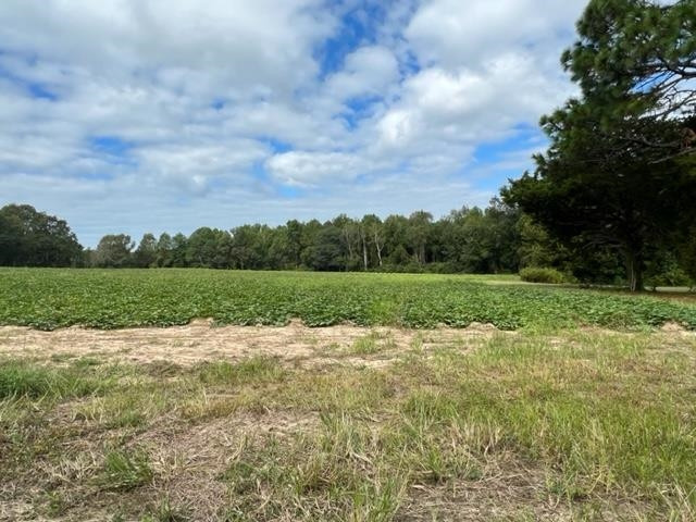 0 Old Stage Road North Coats, NC 27521 - Photo 2 of 3 Photo 2