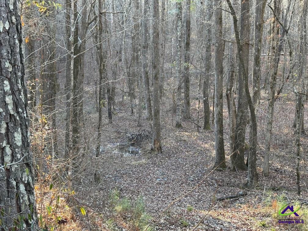 1351 Dixon Road Roberta, GA 31078 - Photo 12 of 26