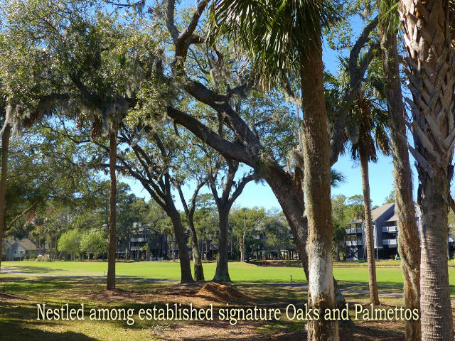 8 Gun Bluff Road Edisto Island, SC 29438 - Photo 2 of 89 2