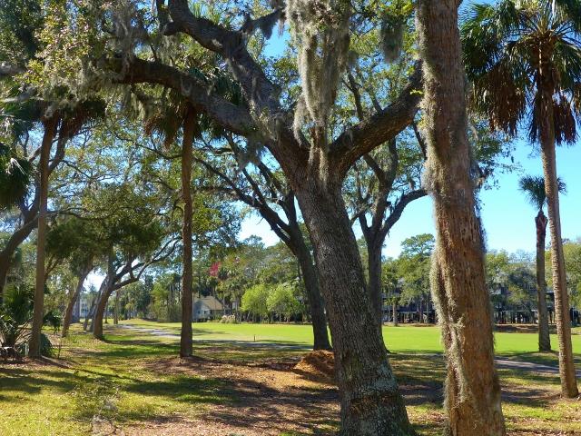 8 Gun Bluff Road Edisto Island, SC 29438 - Photo 18 of 89 14