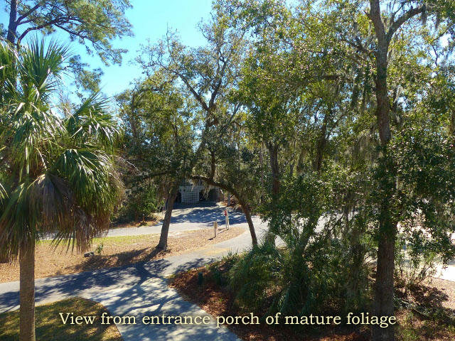 8 Gun Bluff Road Edisto Island, SC 29438 - Photo 77 of 89 79