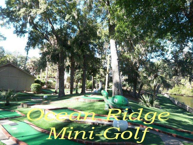 8 Gun Bluff Road Edisto Island, SC 29438 - Photo 87 of 89 new mini golf