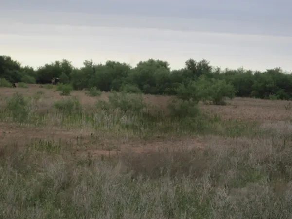 $1,344,000 | Nka Buckle L Road, Childress, TX 79201