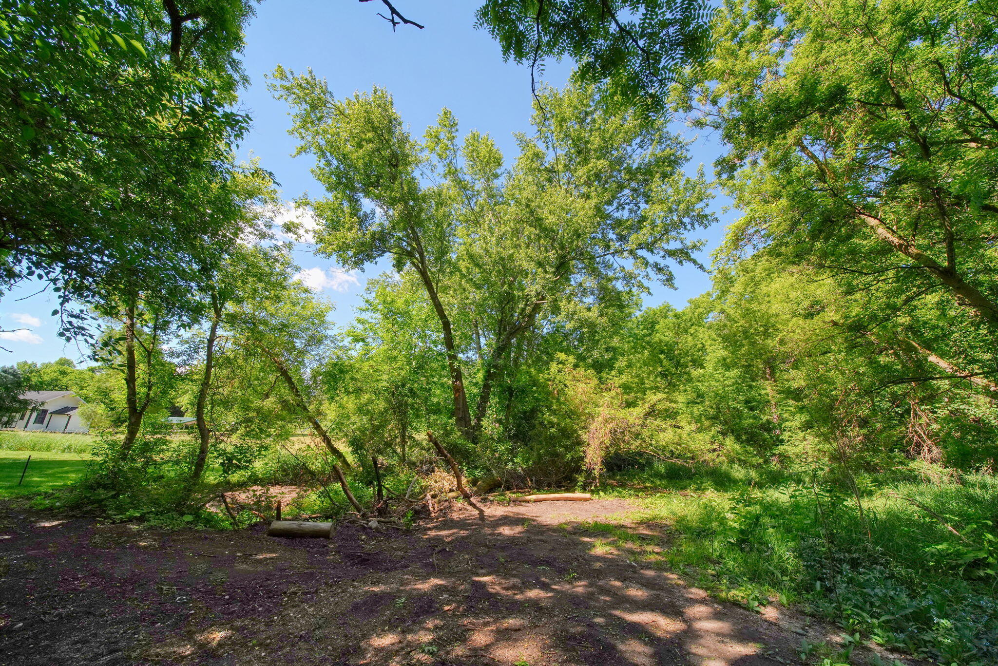 10500 Moscow Road Jonesville, MI 49250 - Photo 52 of 57 83-web-or-mls-DSC06135_HDR