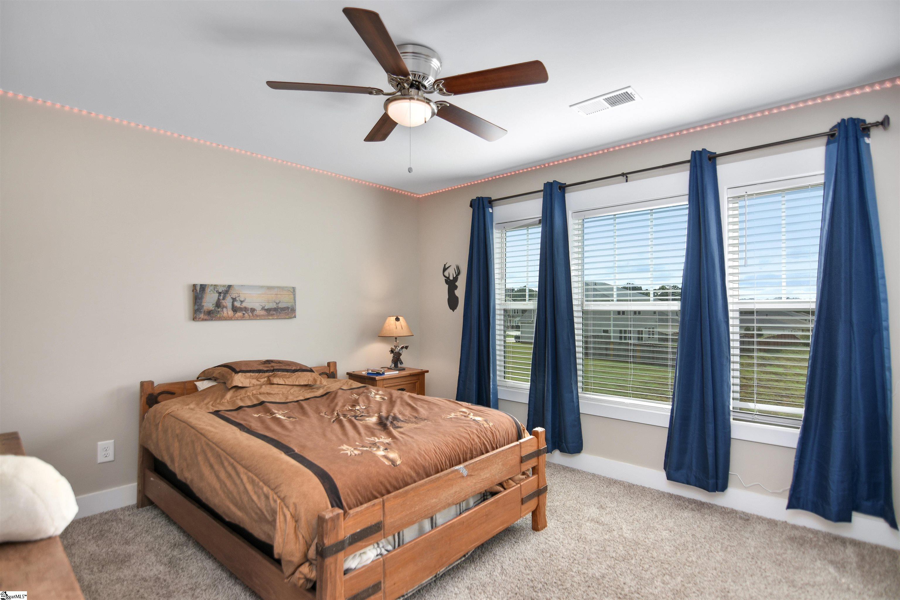 126 Walking Stick Way Pelzer, SC 29669 - Photo 33 of 41