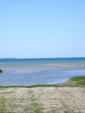 7388 Port Austin Road Caseville, MI 48725 - Photo 12 of 13 7388PtAustinRdBeach2.jpg