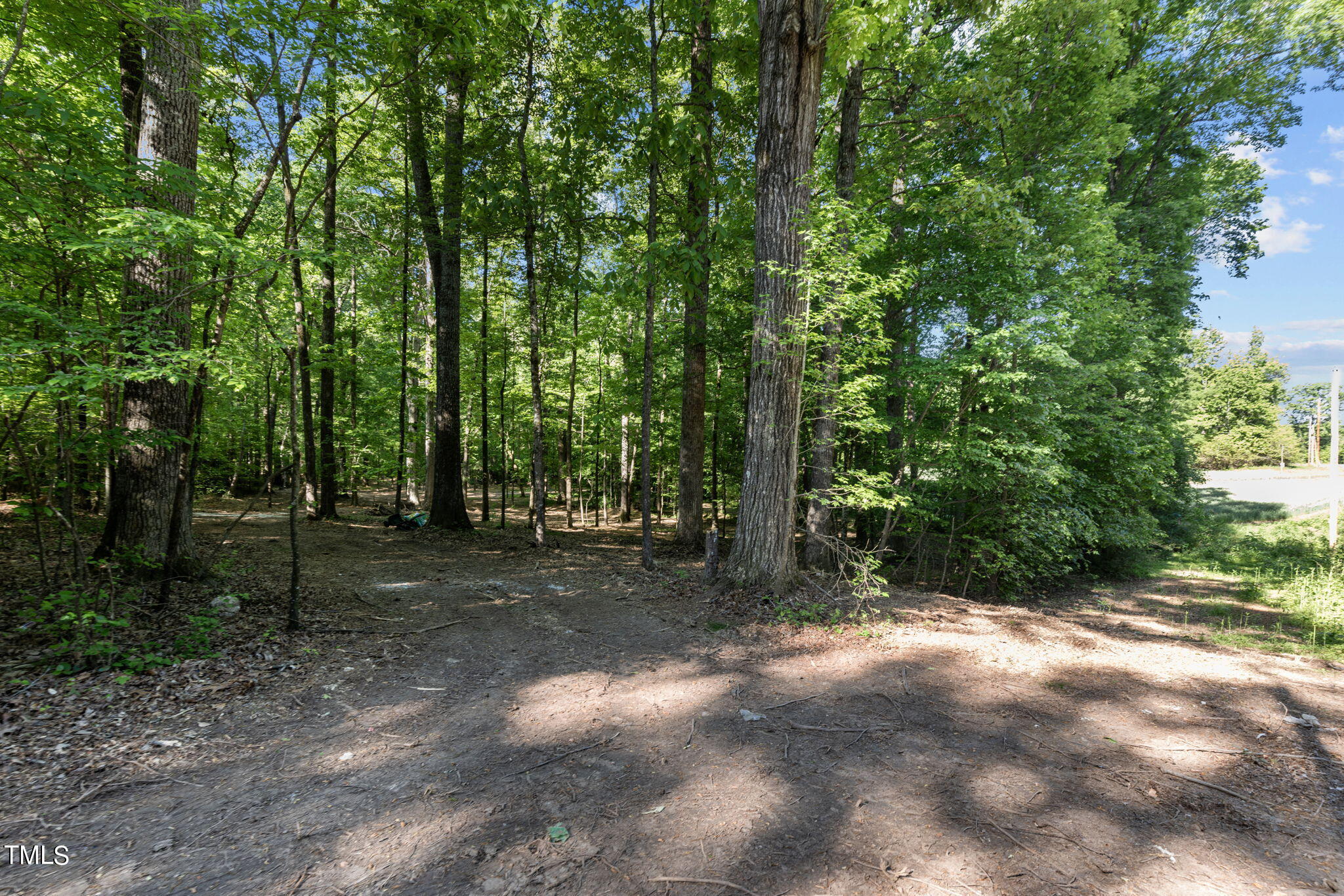 Lot 2 Helena Moriah Road Timberlake, NC 27583 - Photo 3 of 12 a view of a forest with trees in the background