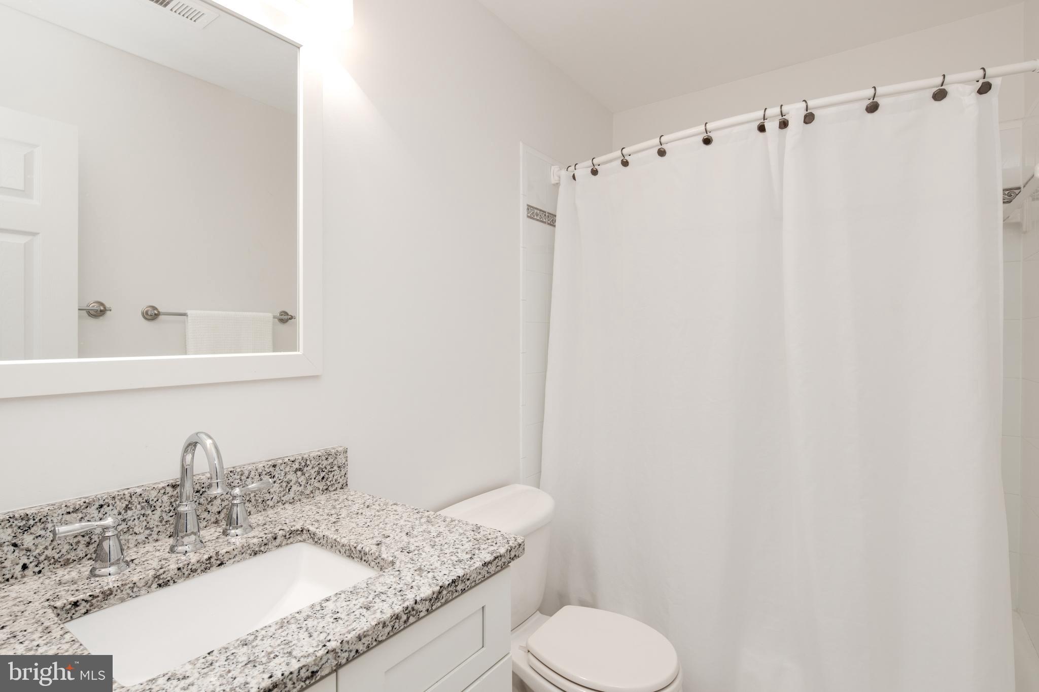 11005 Birdfoot Court Reston, VA 20191 - Photo 16 of 28 Updated hall bath with tub.