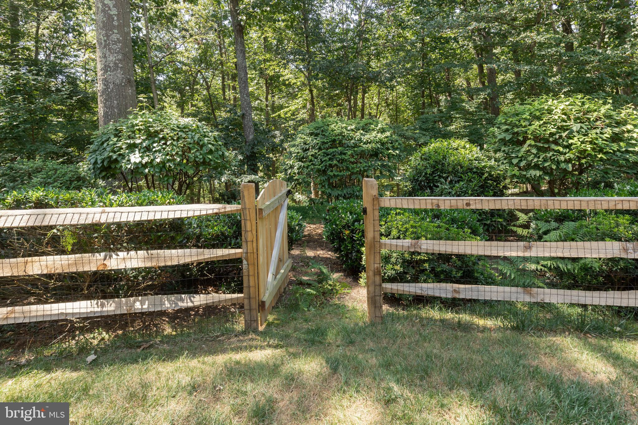 11005 Birdfoot Court Reston, VA 20191 - Photo 25 of 28 Fenced yard opens to private treed lot.