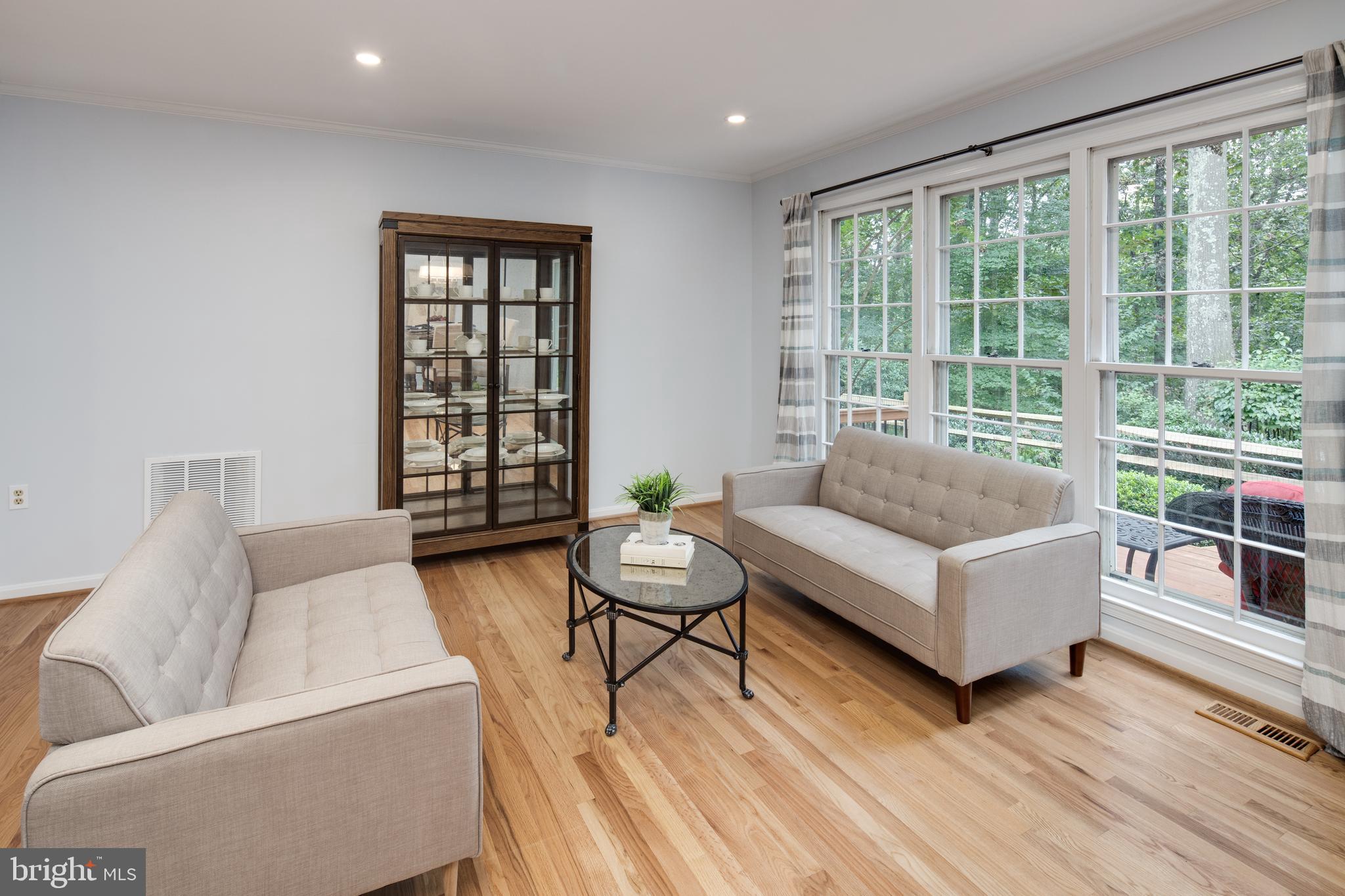 11005 Birdfoot Court Reston, VA 20191 - Photo 5 of 28 Living room with a beautiful view!