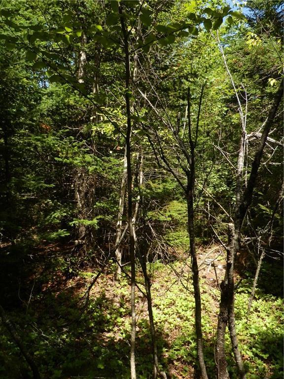 Lot 63 Eleanor Mae Road Deblois, ME 04622 - Photo 14 of 23 Photo