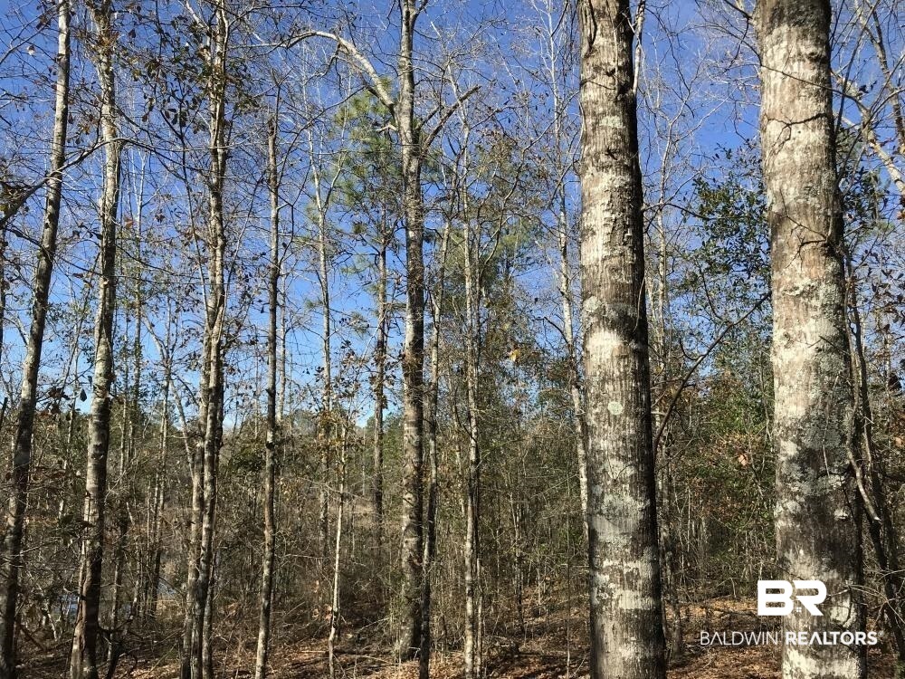 0 Private Road Citronelle, AL 36522 - Photo 26 of 27