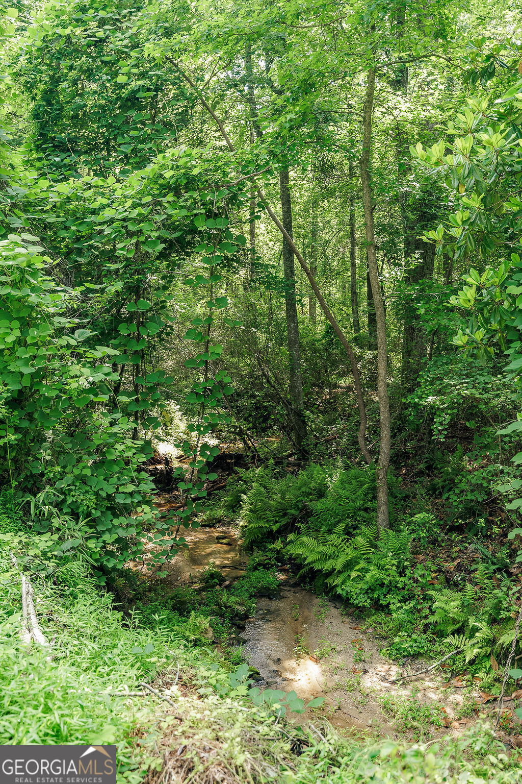 226 Baker Street Statham, GA 30666 - Photo 47 of 55 a view of a forest with a tree