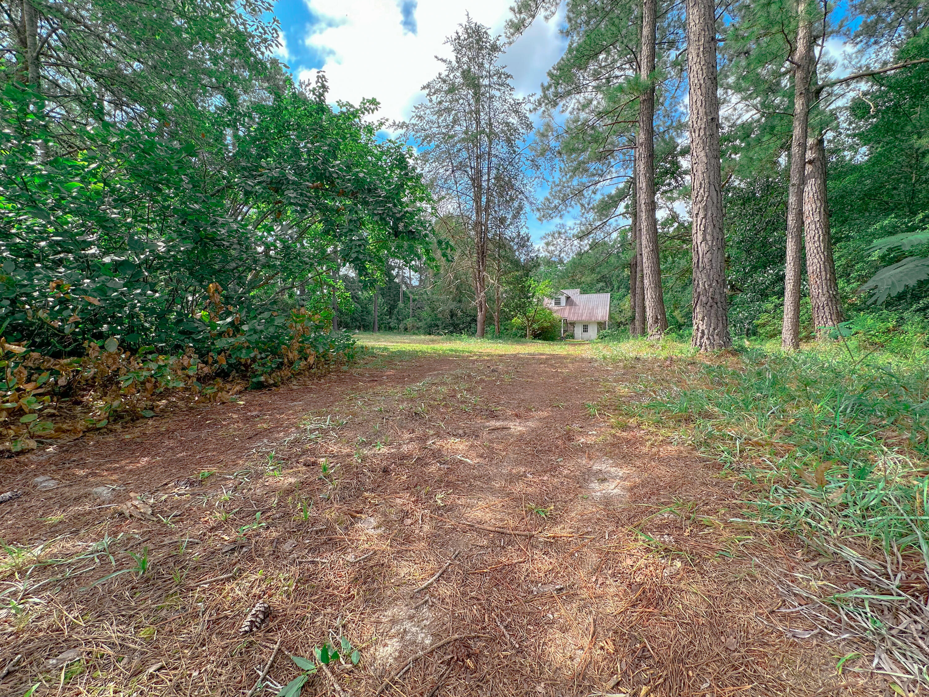 1311 Schurlknight Road St. Stephen, SC 29479 - Photo 1 of 24