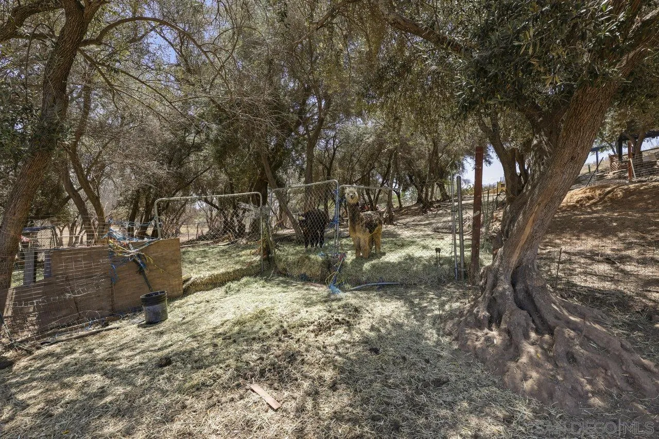 2212 Sonora Way Ramona, CA 92065 - Photo 28 of 29 a view of a yard with large trees