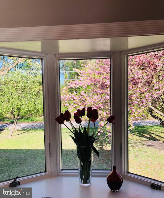 1832 Cedar Road Pasadena, MD 21122 - Photo 46 of 47 VIEW OUT OF THE FRONT BAY WINDOW