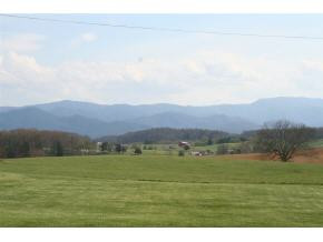 859 Bailey Bridge Road Limestone, TN 37681 - Photo 9 of 9 Photo 9