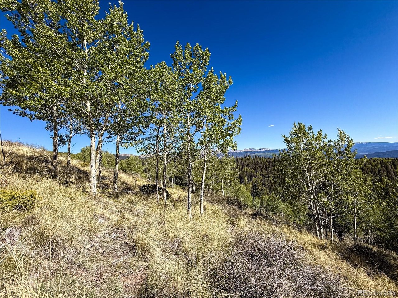 6829 Ryland Road San Luis, CO 81152 - Photo 17 of 28 a backyard of a house with lots of green space